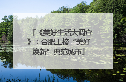 《美好生活大调查》：合肥上榜“美好焕新”典范城市