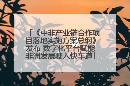 《中非产业链合作项目落地实施方案总纲》发布 数字化平台赋能非洲发展驶入快车道