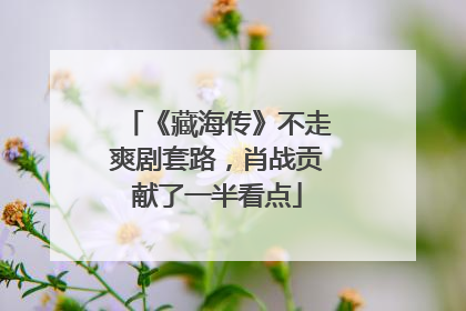 《藏海传》不走爽剧套路，肖战贡献了一半看点