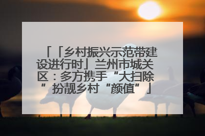 「乡村振兴示范带建设进行时」兰州市城关区：多方携手“大扫除”扮靓乡村“颜值”