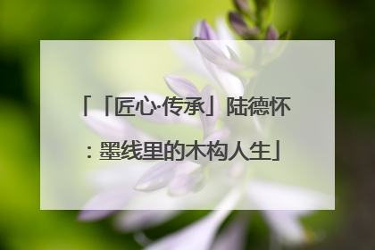 「匠心·传承」陆德怀：墨线里的木构人生