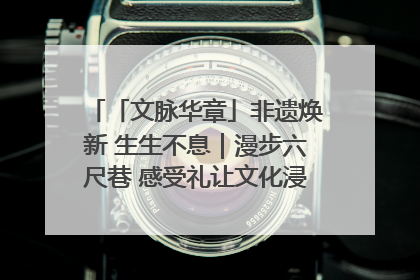 「文脉华章」非遗焕新 生生不息｜漫步六尺巷 感受礼让文化浸润的“巷”往生活