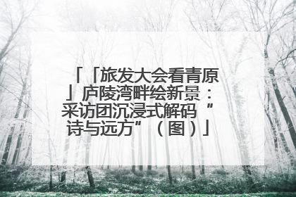 「旅发大会看青原」庐陵湾畔绘新景：采访团沉浸式解码“诗与远方”（图）