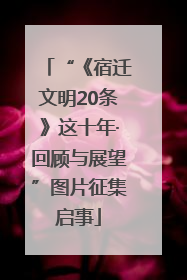 “《宿迁文明20条》这十年·回顾与展望”图片征集启事