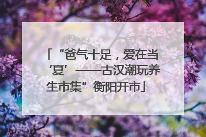 “爸气十足，爱在当‘夏’——古汉潮玩养生市集”衡阳开市