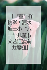 “童”样精彩！清水塘三小“六一”儿童节文艺汇演萌力爆棚