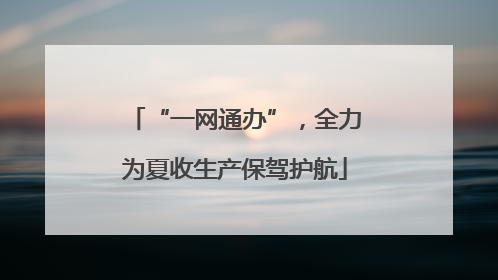 “一网通办”，全力为夏收生产保驾护航