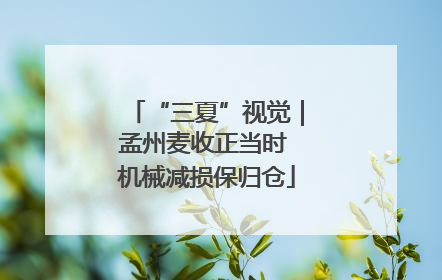 “三夏”视觉｜孟州麦收正当时 机械减损保归仓