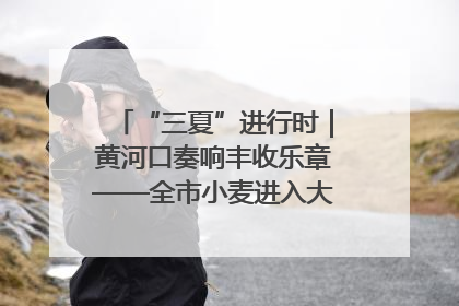 “三夏”进行时｜黄河口奏响丰收乐章——全市小麦进入大面积收获高峰期