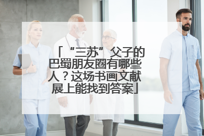 “三苏”父子的巴蜀朋友圈有哪些人？这场书画文献展上能找到答案