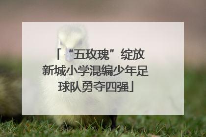 “五玫瑰”绽放 新城小学混编少年足球队勇夺四强