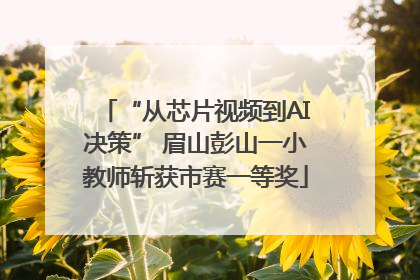“从芯片视频到AI决策” 眉山彭山一小教师斩获市赛一等奖