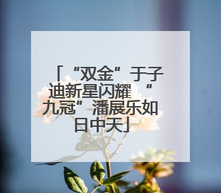 “双金”于子迪新星闪耀 “九冠”潘展乐如日中天