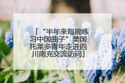“半年来每周练习中国曲子”美国托莱多青年走进四川南充交流访问