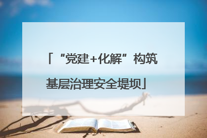 “党建+化解”构筑基层治理安全堤坝