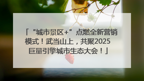 “城市景区+”点燃全新营销模式！武当山上，共聚2025巨量引擎城市生态大会！