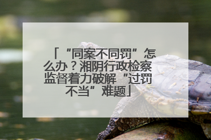 “同案不同罚”怎么办？湘阴行政检察监督着力破解“过罚不当”难题