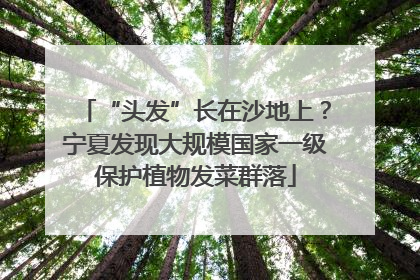 “头发”长在沙地上？宁夏发现大规模国家一级保护植物发菜群落