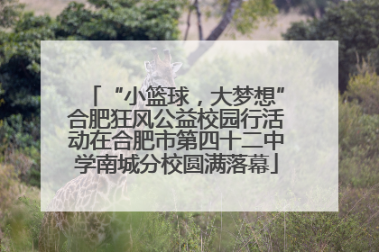 “小篮球，大梦想”合肥狂风公益校园行活动在合肥市第四十二中学南城分校圆满落幕