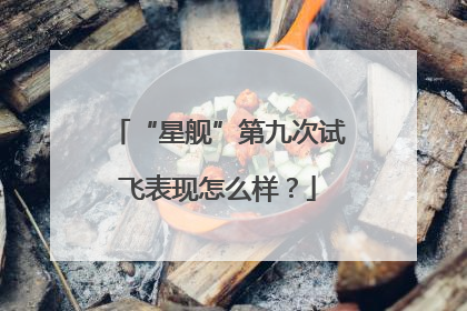 “星舰”第九次试飞表现怎么样？