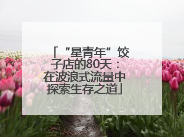 “星青年”饺子店的80天：在波浪式流量中探索生存之道