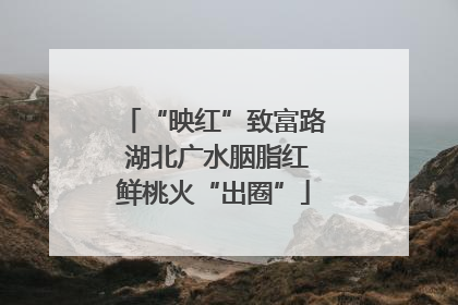 “映红”致富路 湖北广水胭脂红鲜桃火“出圈”