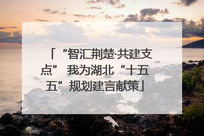 “智汇荆楚·共建支点” 我为湖北“十五五”规划建言献策
