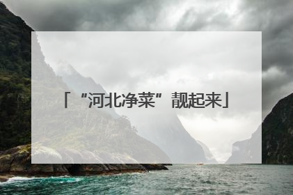 “河北净菜”靓起来