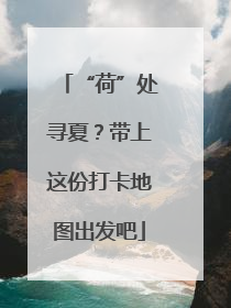 “荷”处寻夏？带上这份打卡地图出发吧