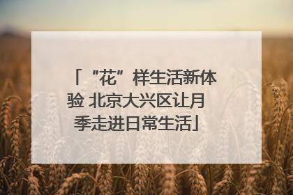 “花”样生活新体验 北京大兴区让月季走进日常生活