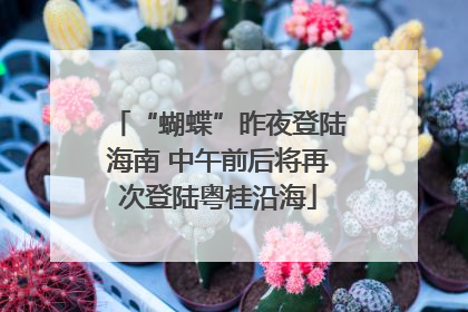 “蝴蝶”昨夜登陆海南 中午前后将再次登陆粤桂沿海