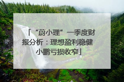 “蔚小理”一季度财报分析：理想盈利稳健 小鹏亏损收窄