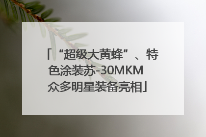 “超级大黄蜂”、特色涂装苏-30MKM 众多明星装备亮相