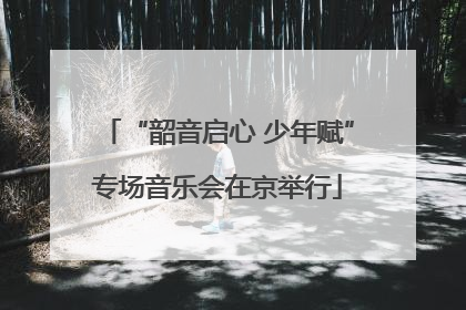 “韶音启心 少年赋”专场音乐会在京举行