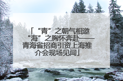 “青”之朝气相邀 “海”之胸怀奔赴——青海省招商引资上海推介会现场见闻