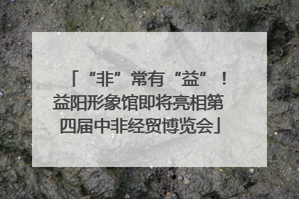 “非”常有“益”！益阳形象馆即将亮相第四届中非经贸博览会