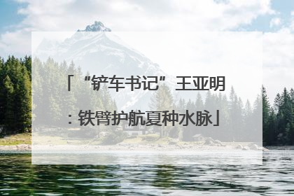 “铲车书记”王亚明：铁臂护航夏种水脉