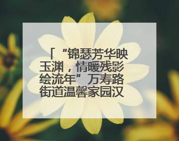 “锦瑟芳华映玉渊，情暖残影绘流年”万寿路街道温馨家园汉服观光摄影实践活动