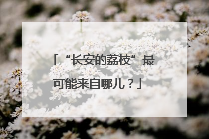 “长安的荔枝”最可能来自哪儿？