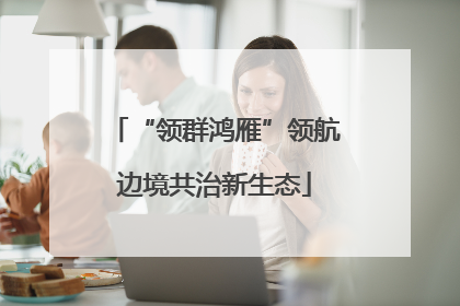 “领群鸿雁”领航边境共治新生态