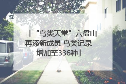 “鸟类天堂”六盘山再添新成员 鸟类记录增加至336种