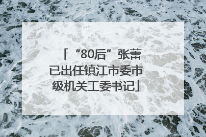 “80后”张蕾已出任镇江市委市级机关工委书记