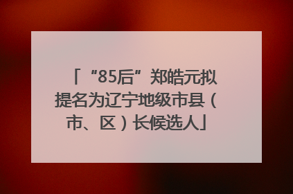 “85后”郑皓元拟提名为辽宁地级市县（市、区）长候选人