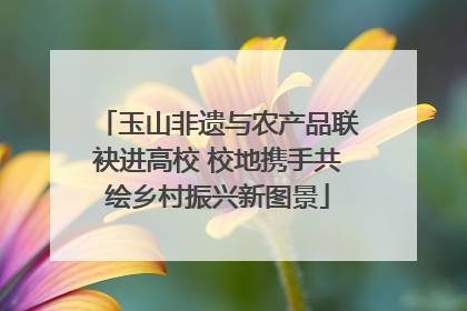 玉山非遗与农产品联袂进高校 校地携手共绘乡村振兴新图景