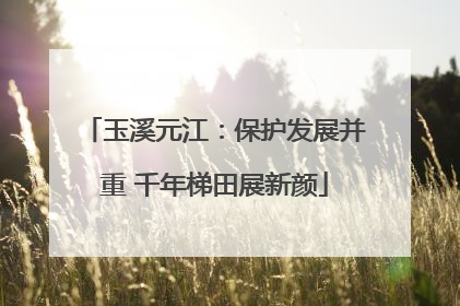 玉溪元江：保护发展并重 千年梯田展新颜