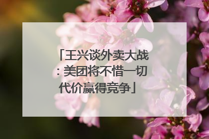 王兴谈外卖大战：美团将不惜一切代价赢得竞争