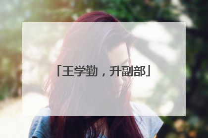 王学勤，升副部