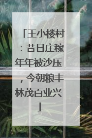 王小楼村：昔日庄稼年年被沙压，今朝粮丰林茂百业兴