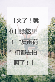 火了！就在日照这里！“夏雨荷”们都去拍照了！
