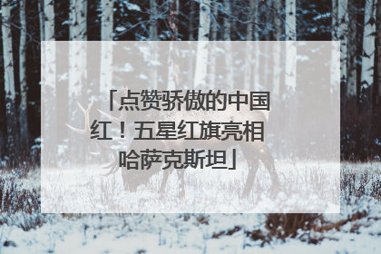 点赞骄傲的中国红！五星红旗亮相哈萨克斯坦